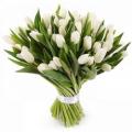 Букеты из белых тюльпанов