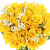 Букет из 55 желтых роз с гипсофилой