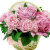 Букет из 9 розовых пионов в корзине Букет из 9 розовых пионов в корзине