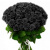 Букет из 51 черной розы Букет из 51 черной розы
