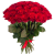 Букет из 45 красных роз Букет из 45 красных роз