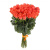 Букет из 55 коралловых роз Букет из 55 коралловых роз