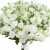 Букет из белой эустомы Букет из белой эустомы