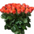 Букет из 51 коралловой розы Букет из 51 коралловой розы