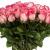 Букет из 35 розовых роз Букет из 35 розовых роз