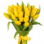 Букет из 19 желтых тюльпанов