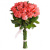 Букет из 25 коралловых роз Букет из 25 коралловых роз