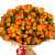 Букет из 25 кустовых оранжевых роз Букет из 25 кустовых оранжевых роз