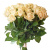 Букет из 19 кремовых роз Букет из 19 кремовых роз